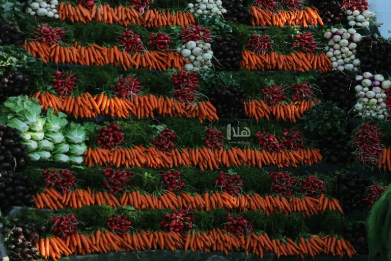 5066 طن خضار وفواكه ترد للسوق المركزي الثلاثاء