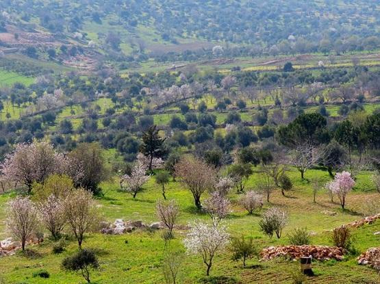 الأردن.. أجواء دافئة نسبيا في بعض المناطق اليوم