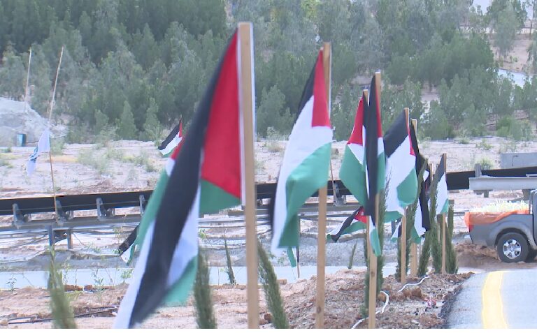 بالفيديو – “الفوسفات الأردنية” تحتفي بعيد ميلاد جلالة الملك بتدشّين المرحلة الرابعة من مشروع تخضير جبل الجبس